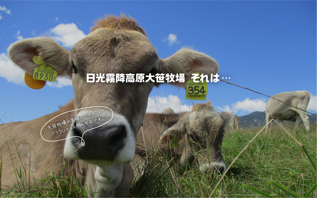 日光霧降高原 大笹牧場